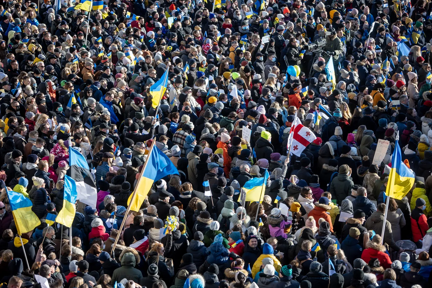 Митинг в поддержку Украины в центре Таллинна 26 февраля 2022 года.