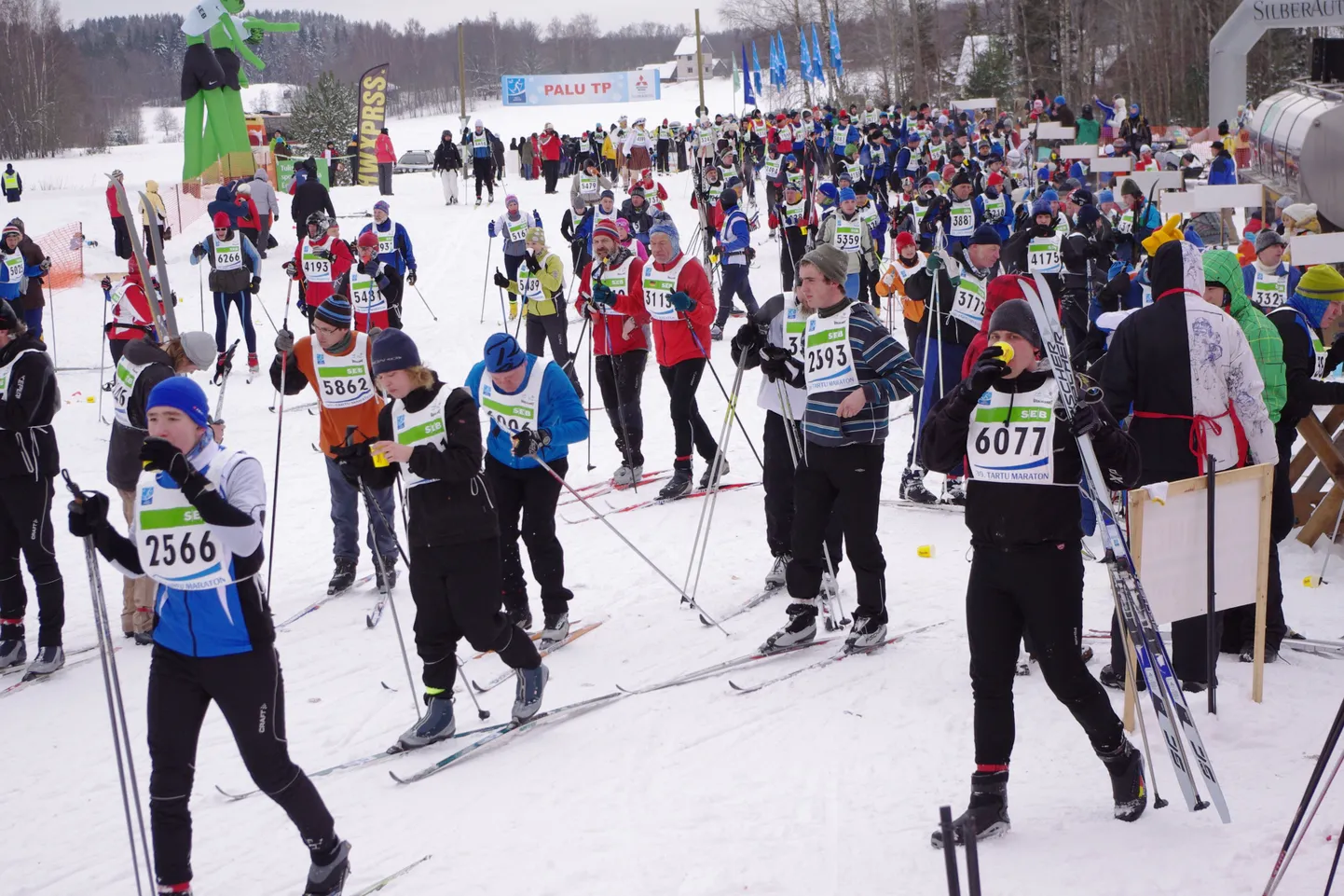 Tartu maraton