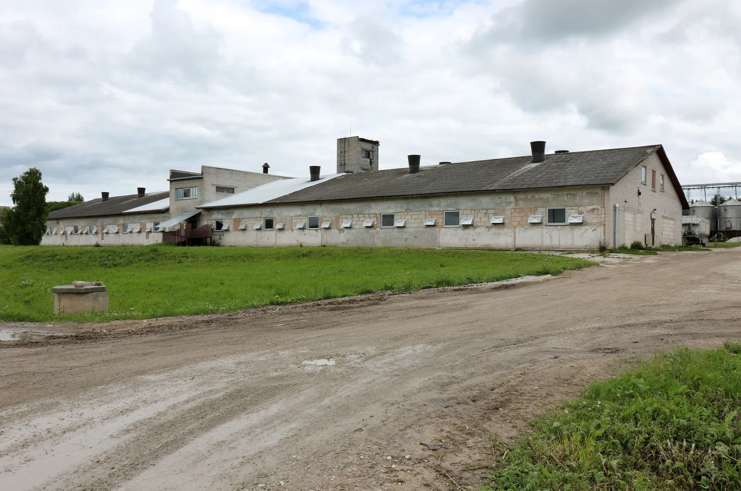 Ilmatsalus asuvas Tartu Agro sigalas oli üle viie tuhande sea. Kuu aja pärast on see hoone tühi.