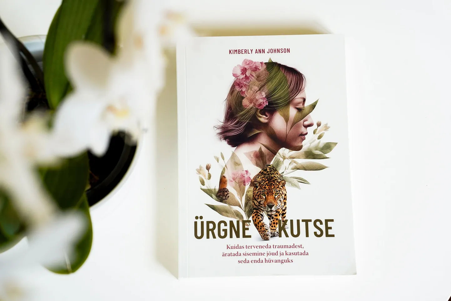 Kimberly Ann Johnsoni raamat «Ürgne kutse».