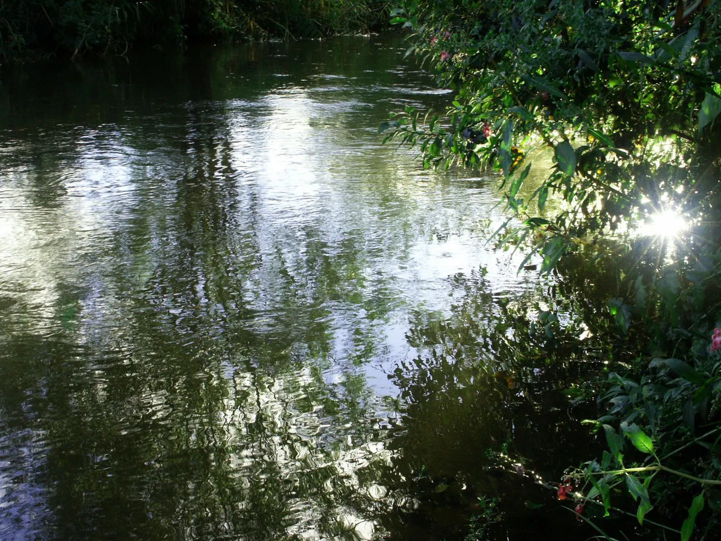 Jõgi