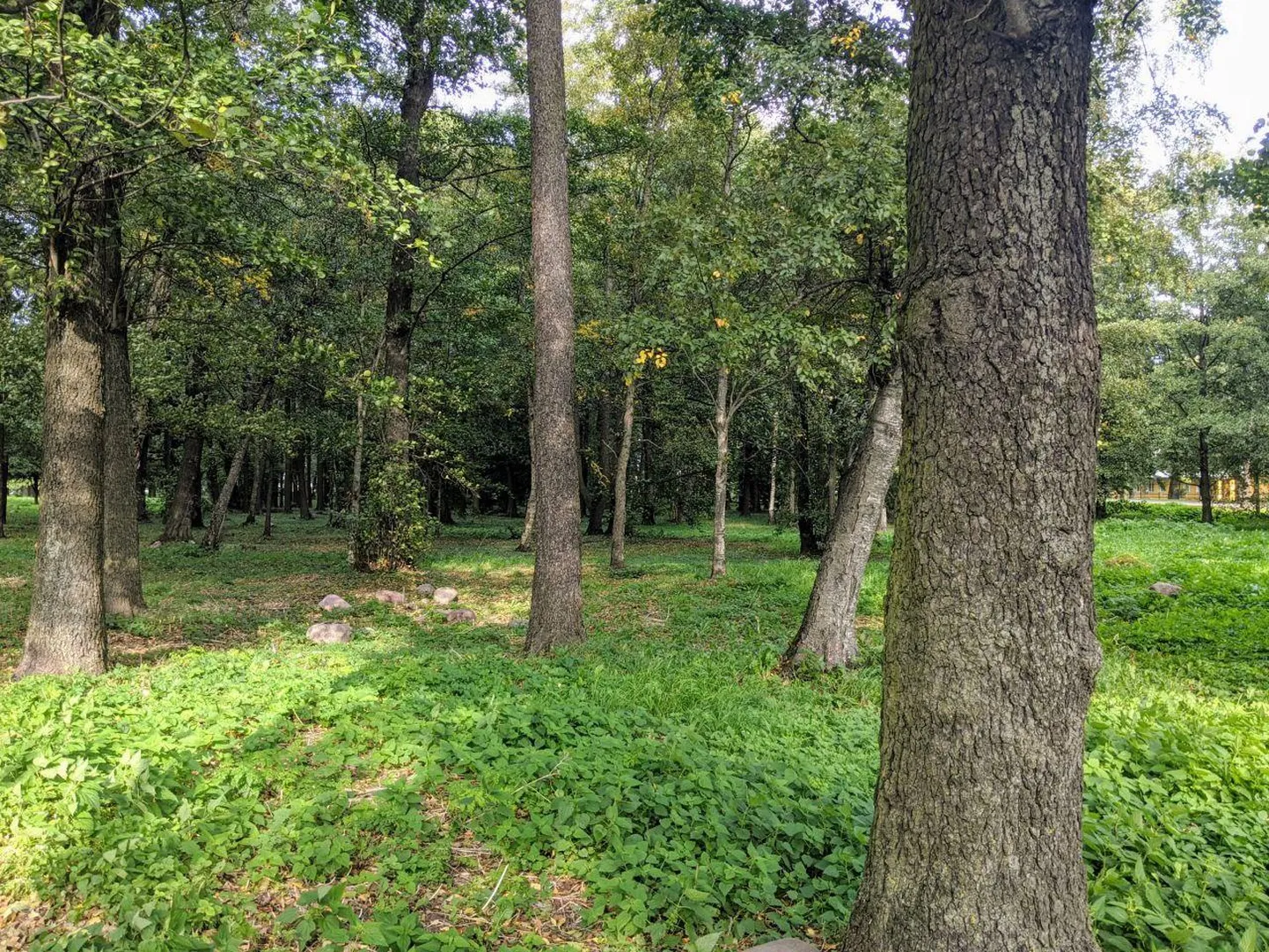 Kase park.