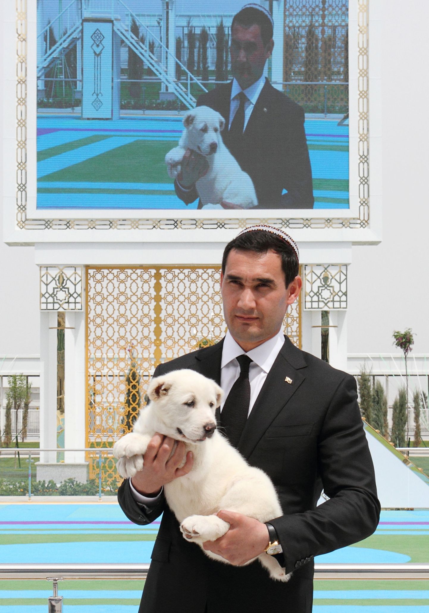 Türkmenistani asepeaminister Serdar Berdimuhhamedow hoidmas süles Türkmenistani uhkust alabai koera