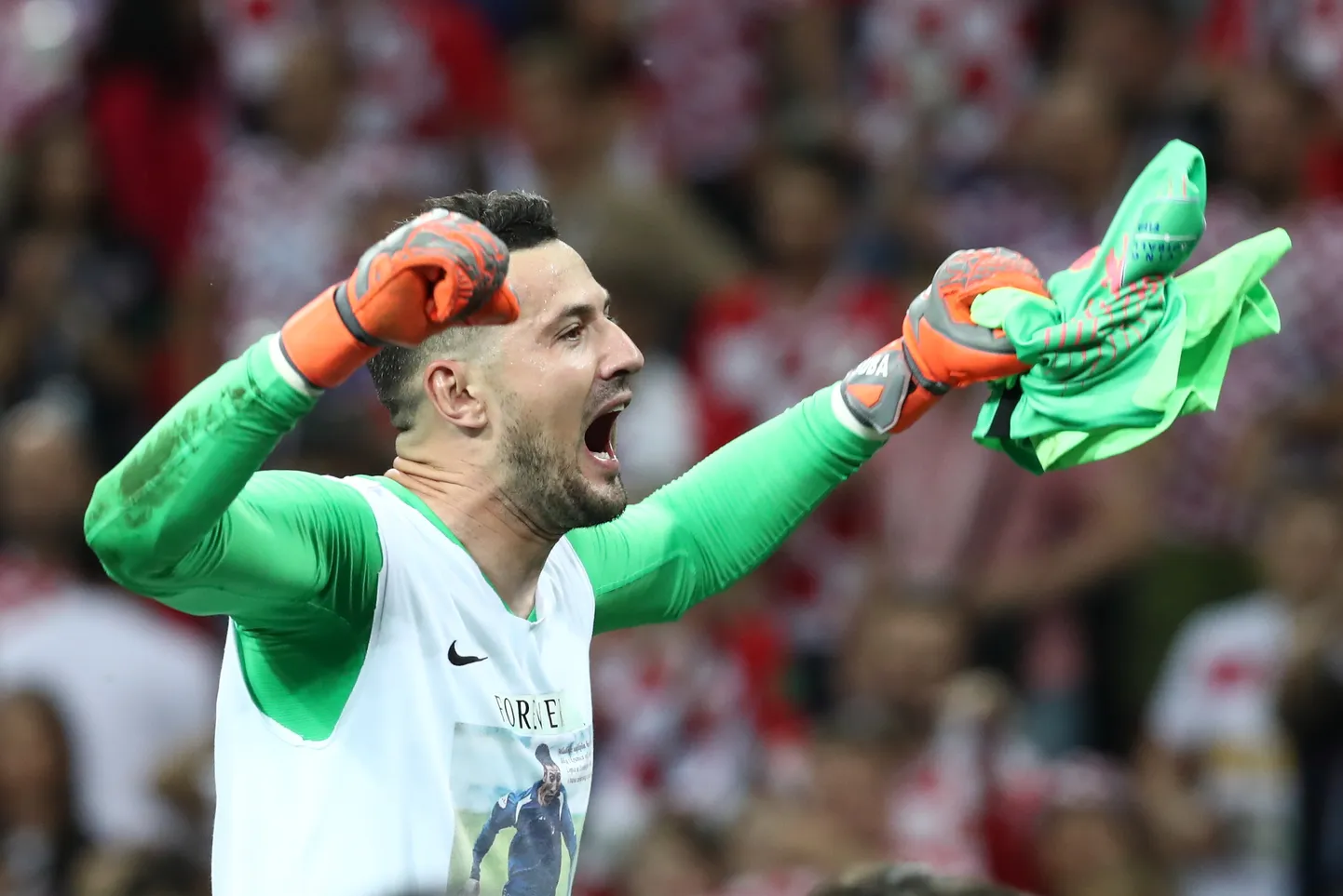 Danijel Subašic.