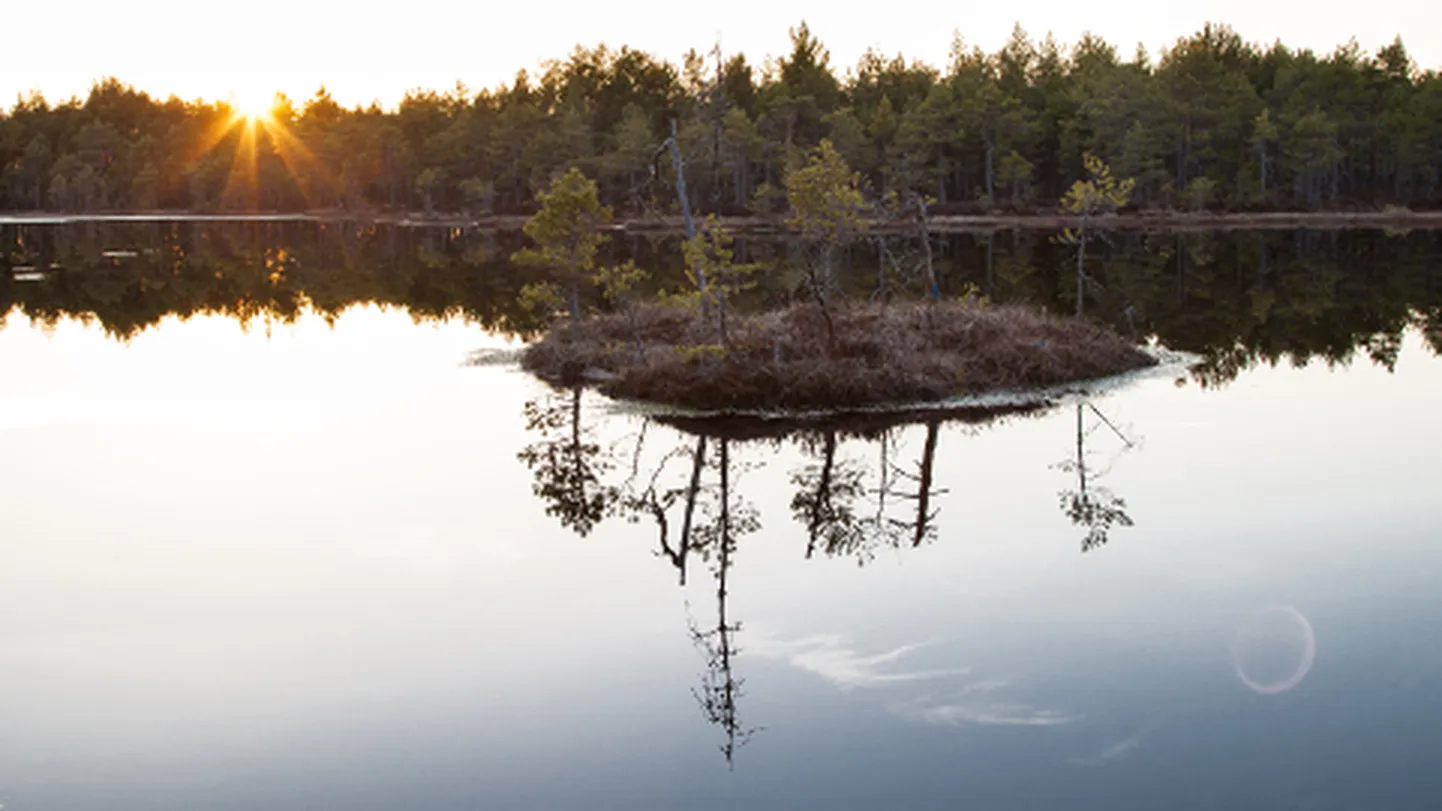 Ekspertide hinnangul jätkuv kaevandamine Selisood ohtu ei sea.