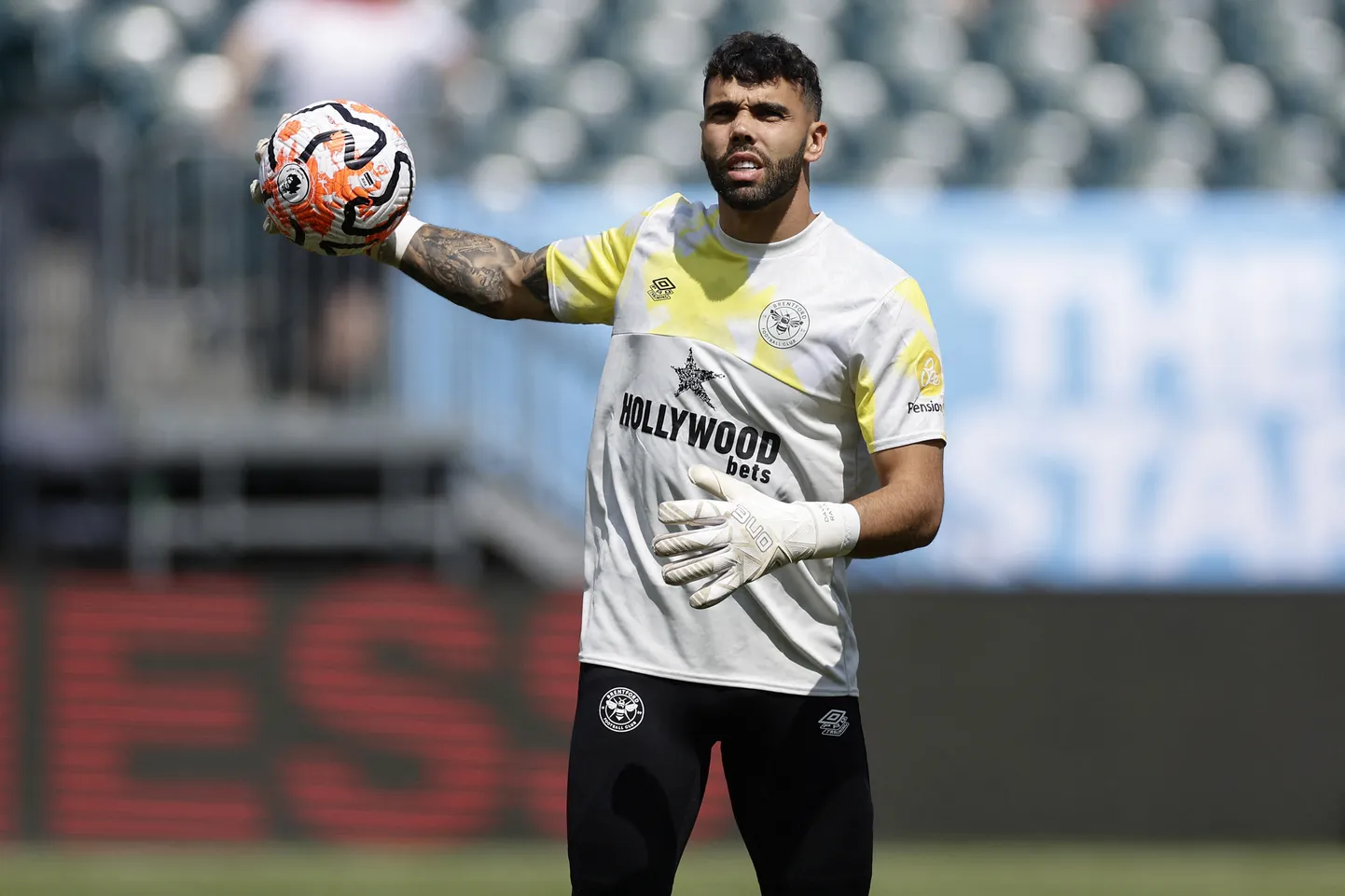 David Raya.