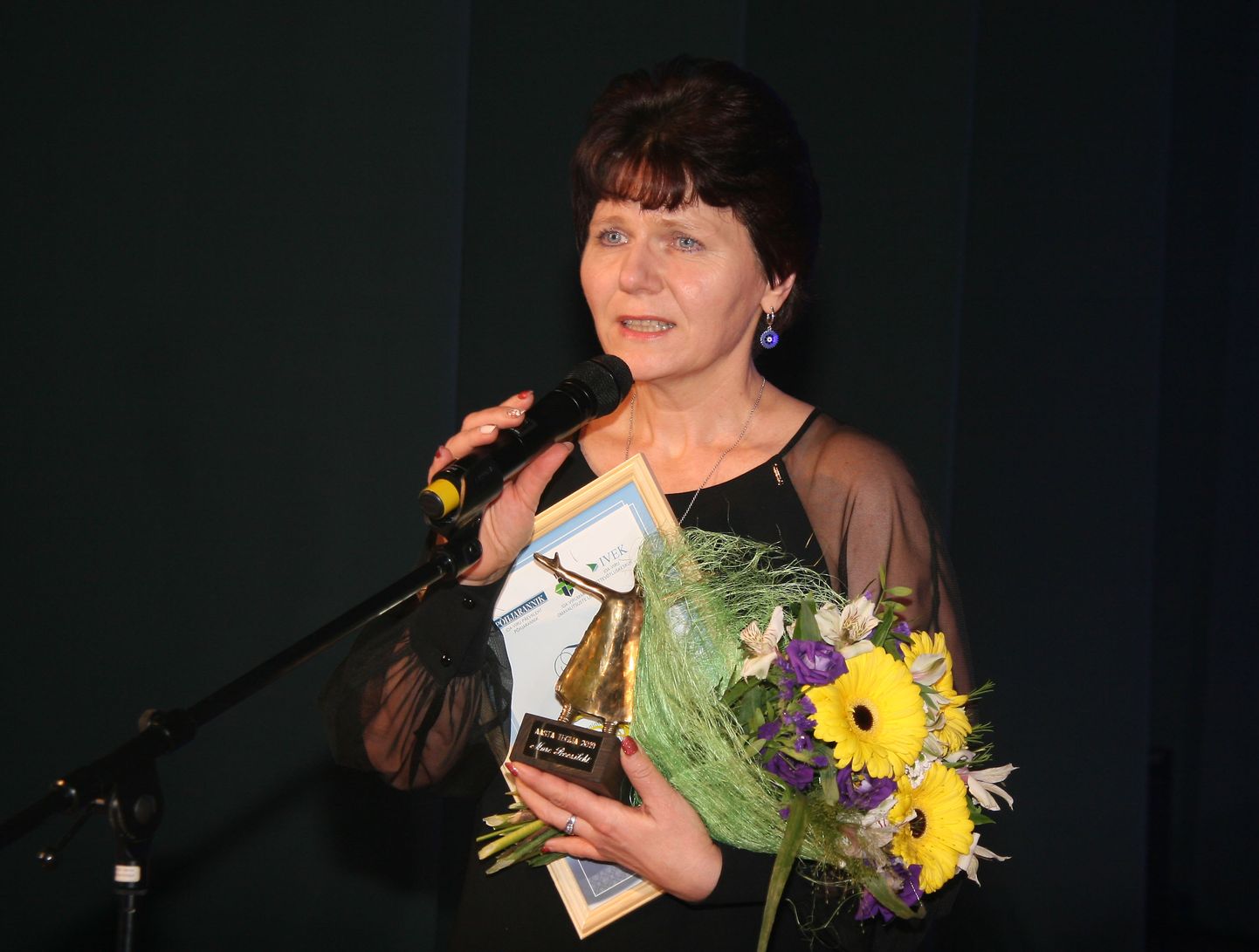 Титула "Деятель года Ида-Вирумаа - 2019" была удостоена директор Вирумааского колледжа Таллиннского технического университета, а также руководитель местной образовательной жизни и общественного движения Маре Роозилехт.