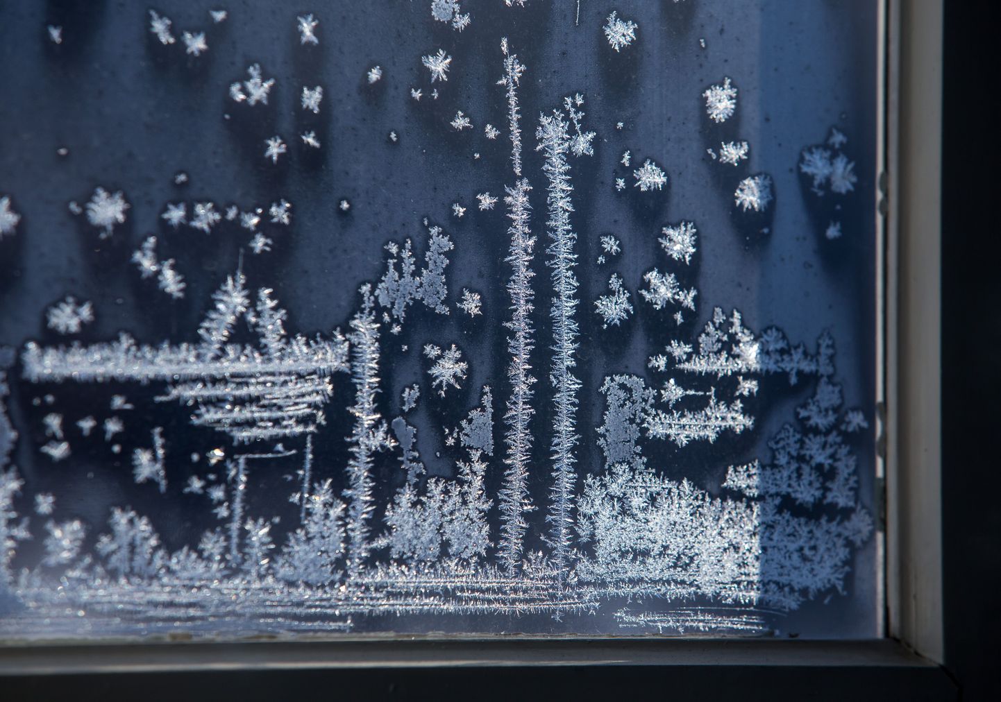 Мороз рисует на окнах.