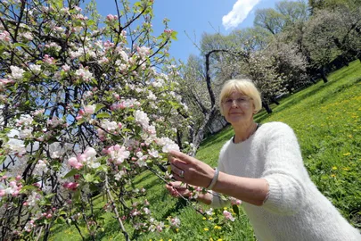 Anne Luik.