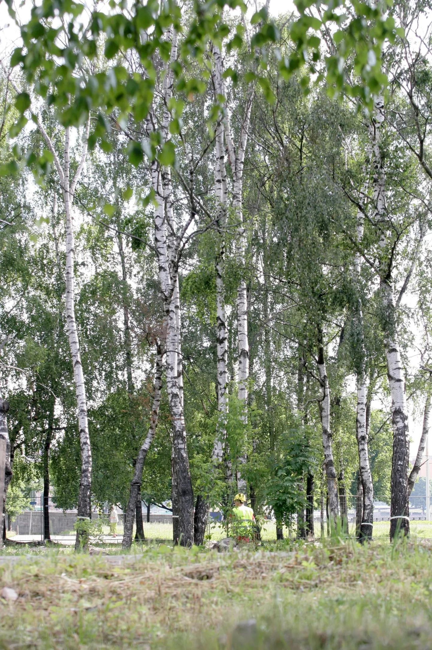 Фото статьи