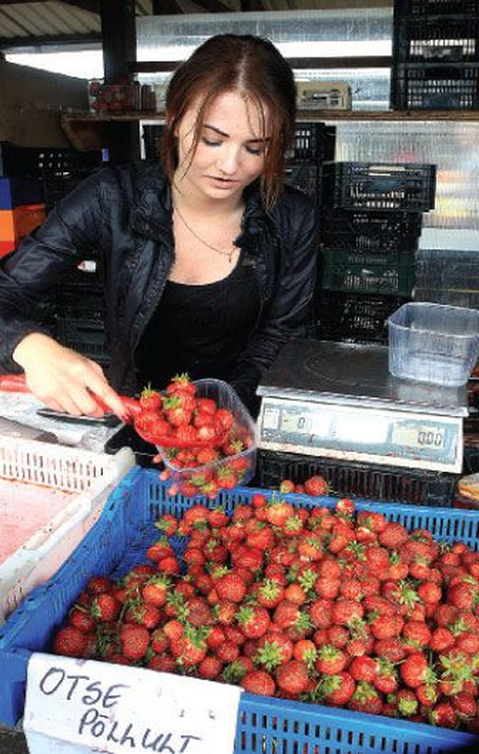 Veroonika Raudvee kauplemas Tartu avaturul Joosepi talu maasikatega.