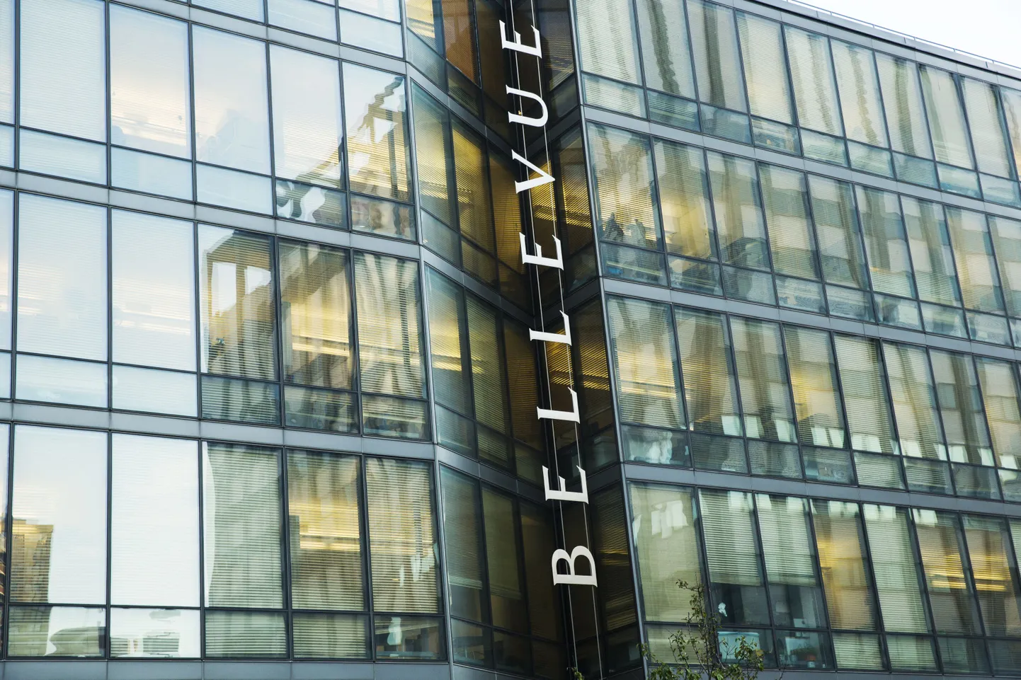 New Yorgi Bellevue haigla