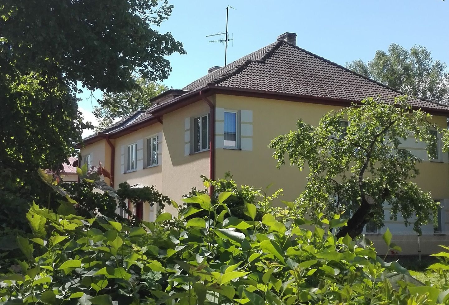 На этом здании в Тарту флаг официально не вывешен. Однако его можно заметить в окне одного из жильцов.