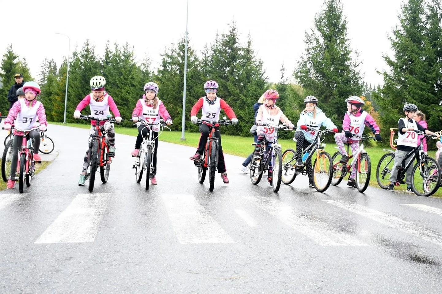 Noored ratturid stardijoonel.