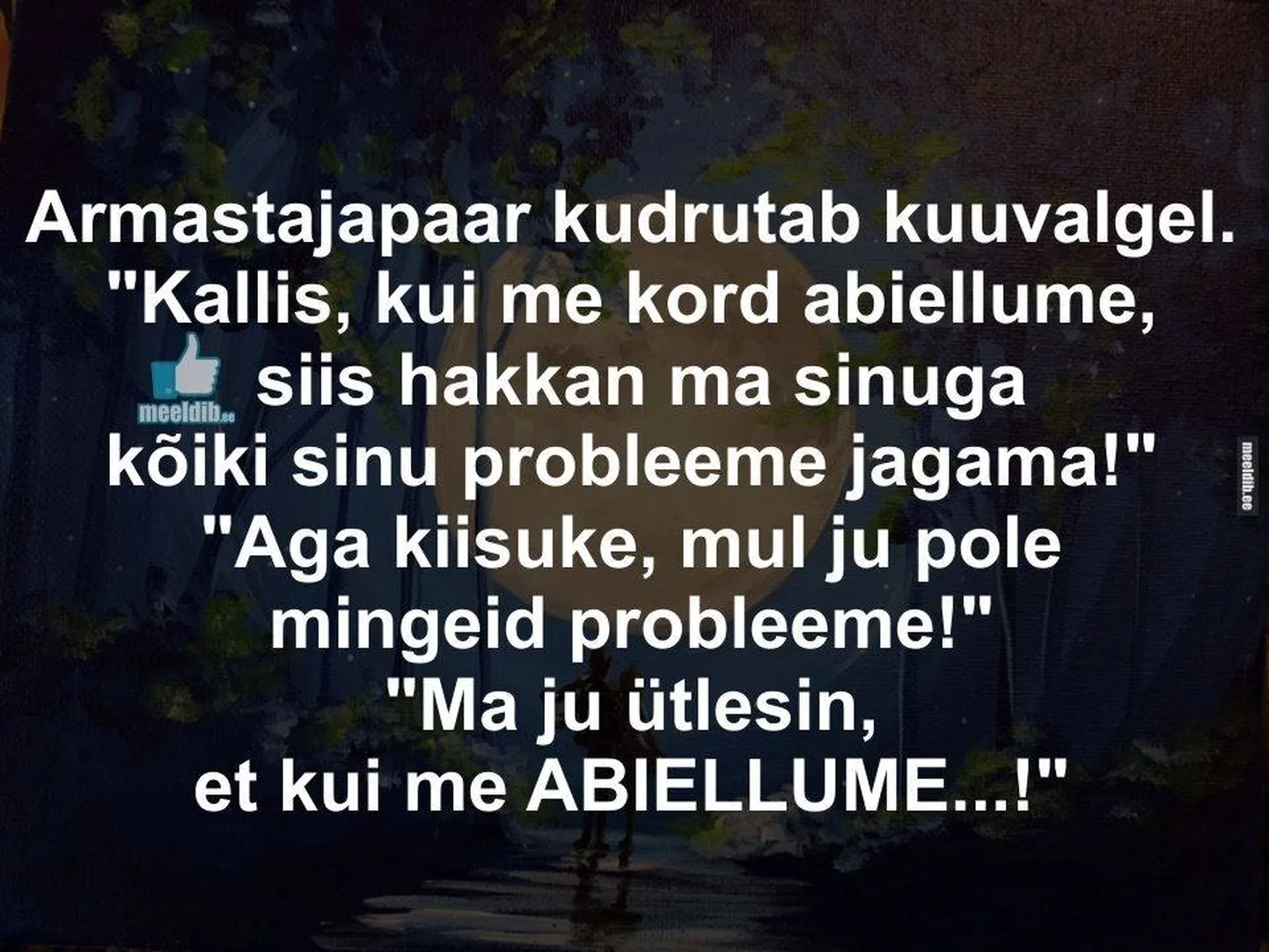 Artikli foto