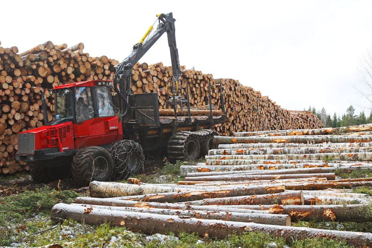 Pildil kõrguvad uhked palgivirnad Joensuus. Tegelikult hakkas Soome metsatööstus kärbuma juba 2007. aastal ja tume on ka tulevik.