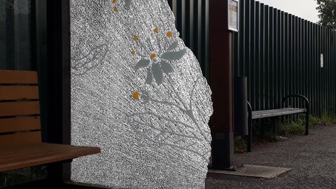 Фотоновость: вандалы вдребезги разбили павильон автобусной остановки