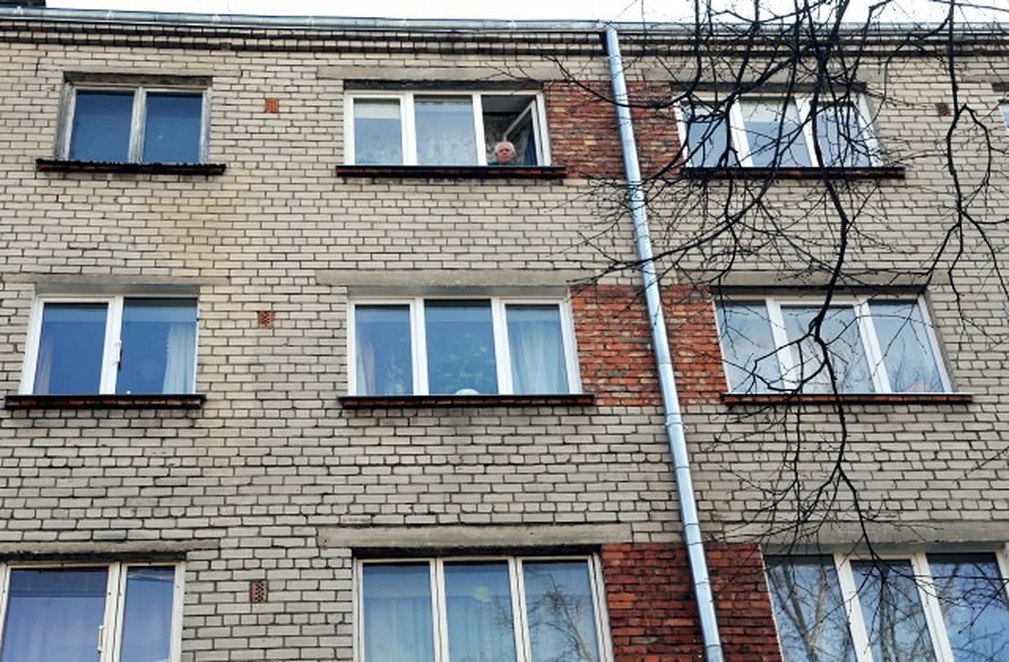 Фото статьи