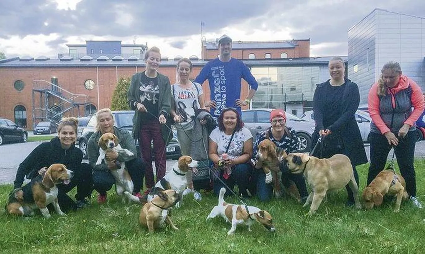 Tänavu oodatakse ööorienteerumisele osalema umbes 350 inimest ja poolsada koera.