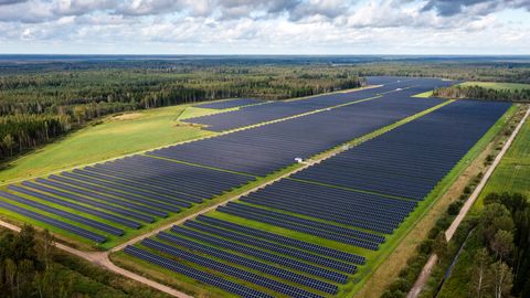 TEET KUKK ⟩ Möödunud suvi näitas, kuhu elektriturg liigub