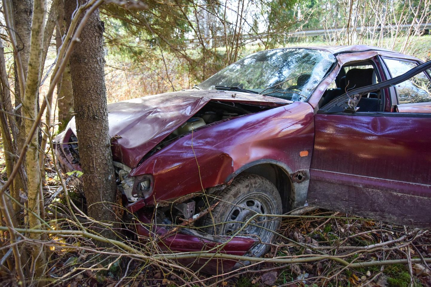 Vastu puud sõitnud auto juhti tabas ootamatu terviserike.