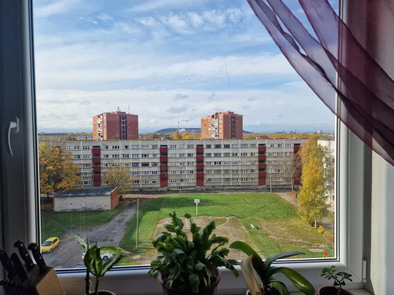 Такой вид перспективы жизни на улице открывается малообеспеченным людям с особыми потребностями из окна общежития.