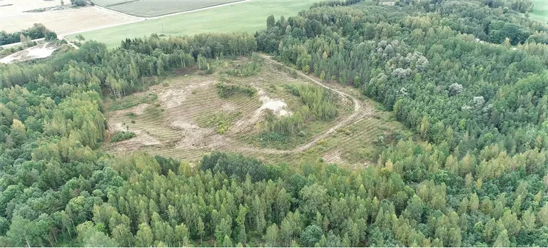 Sulevi liivakarjäär on pärast varude ammendumist korrastatud metsamaaks.