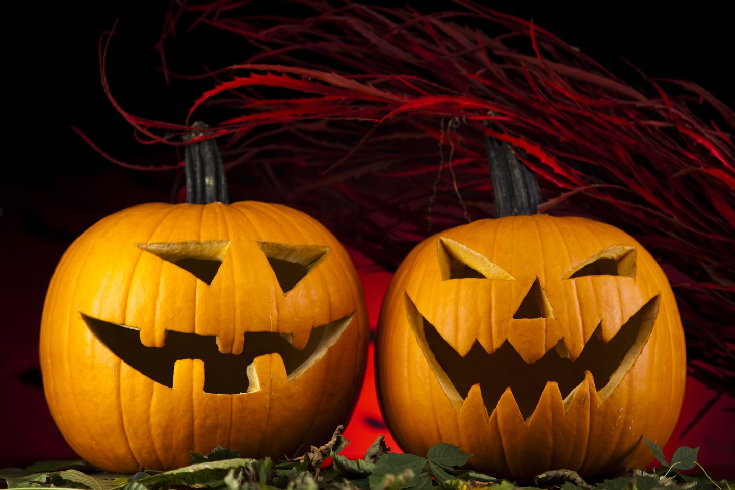 Scary Jack, halloween pumpkin