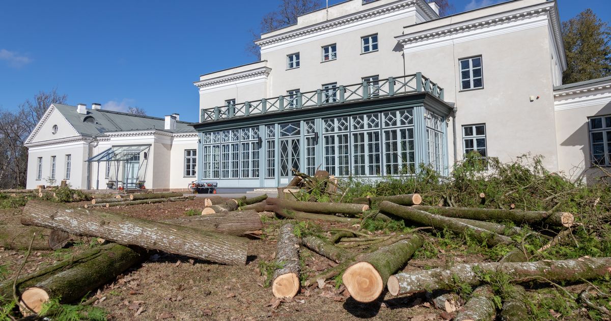 Heimtali mõisapargis langesid puud