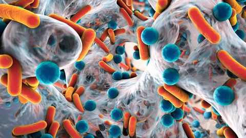 Teadlased: COVID-19 ravi võib põhjustada ohtlikku antibiootikumide resistentsust