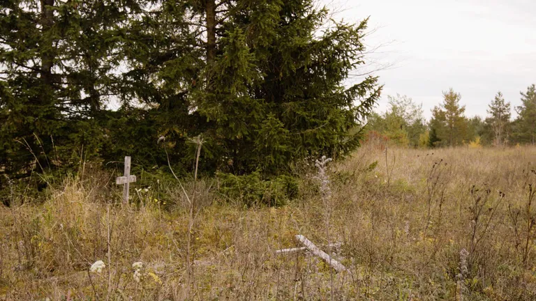 «Бандитское кладбище» - тайное, созданное специально для преступников место захоронения. Свечей здесь не зажигают. Десятки лет за могилами никто не ухаживает.