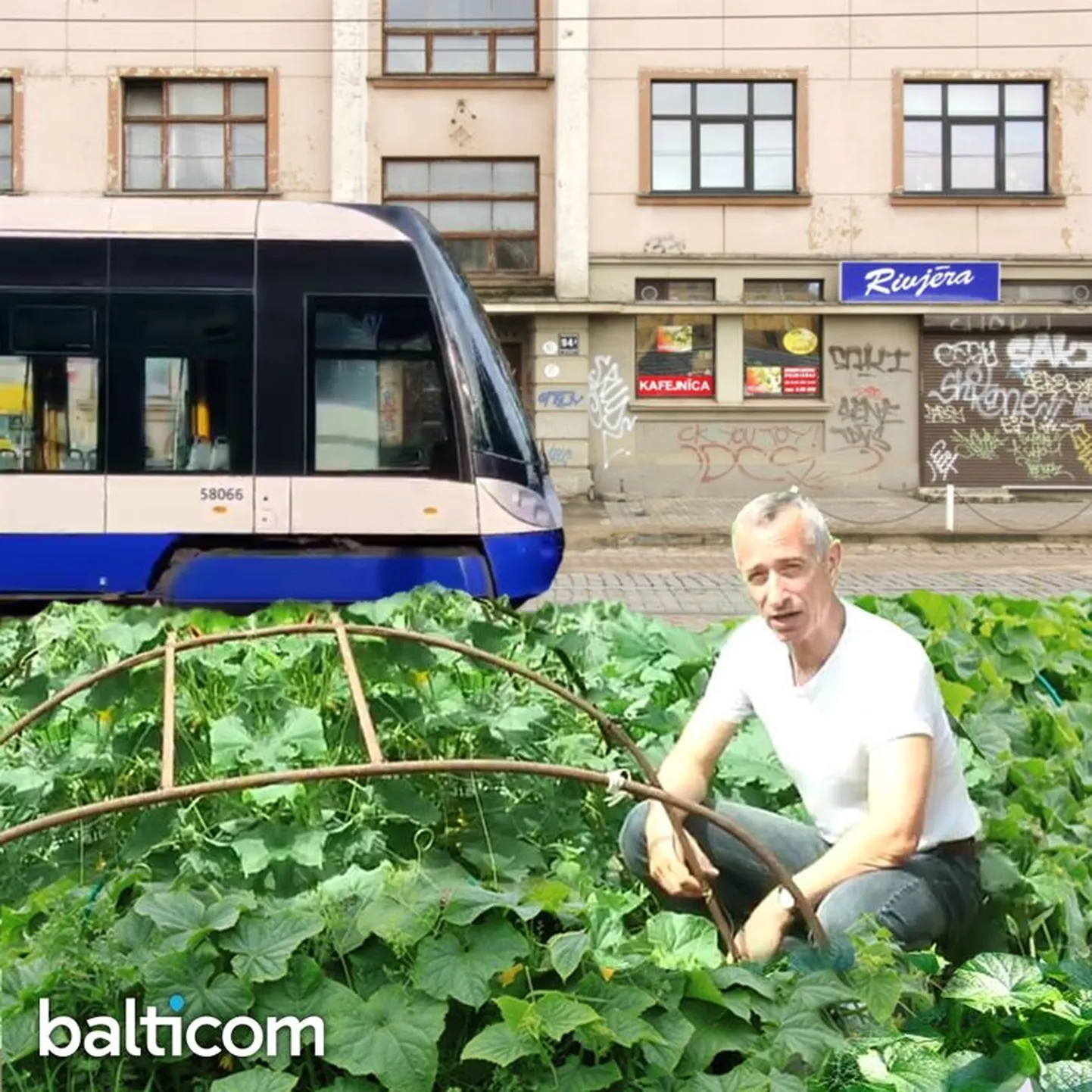 Фото статьи