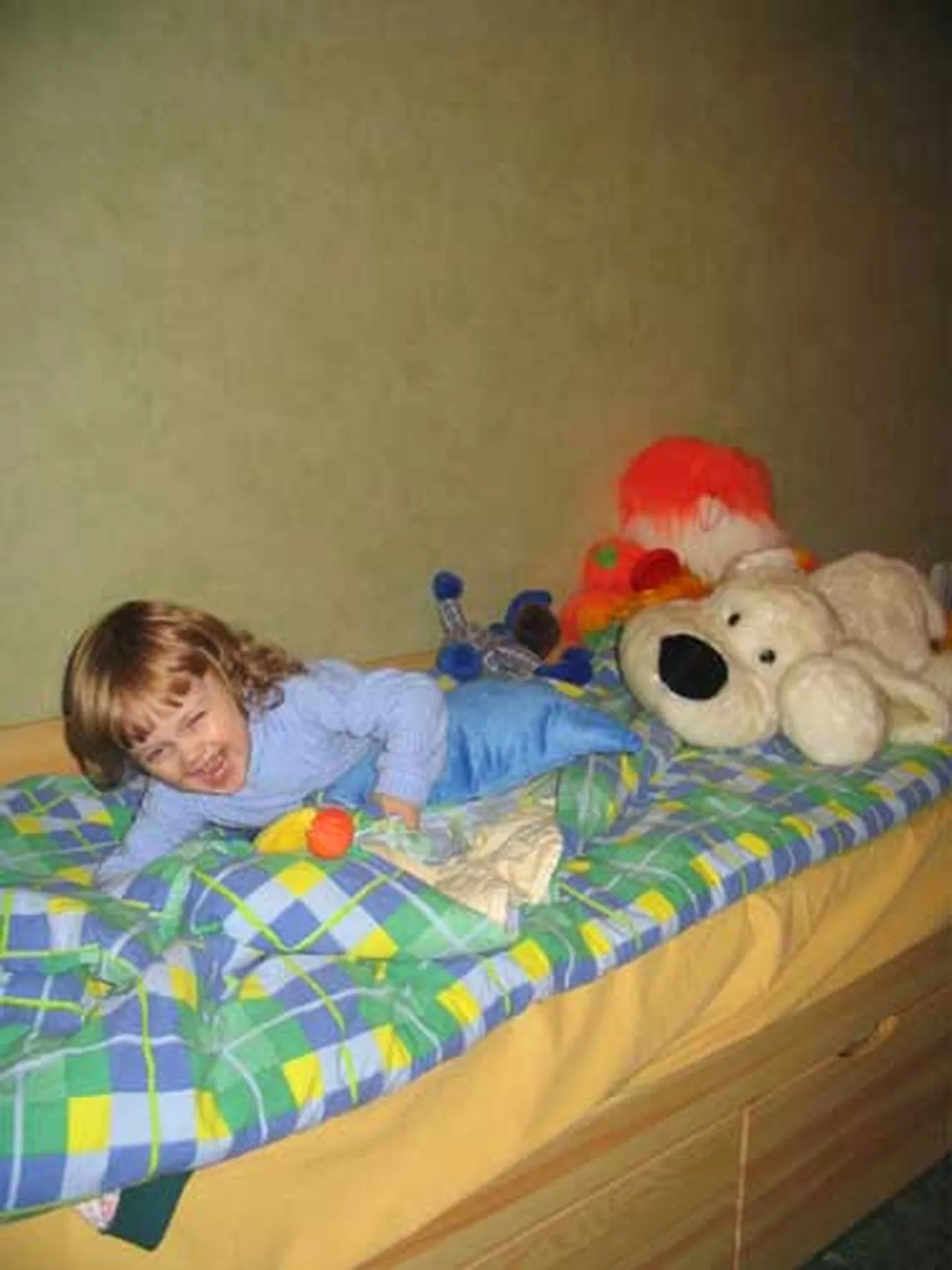 Raksta foto