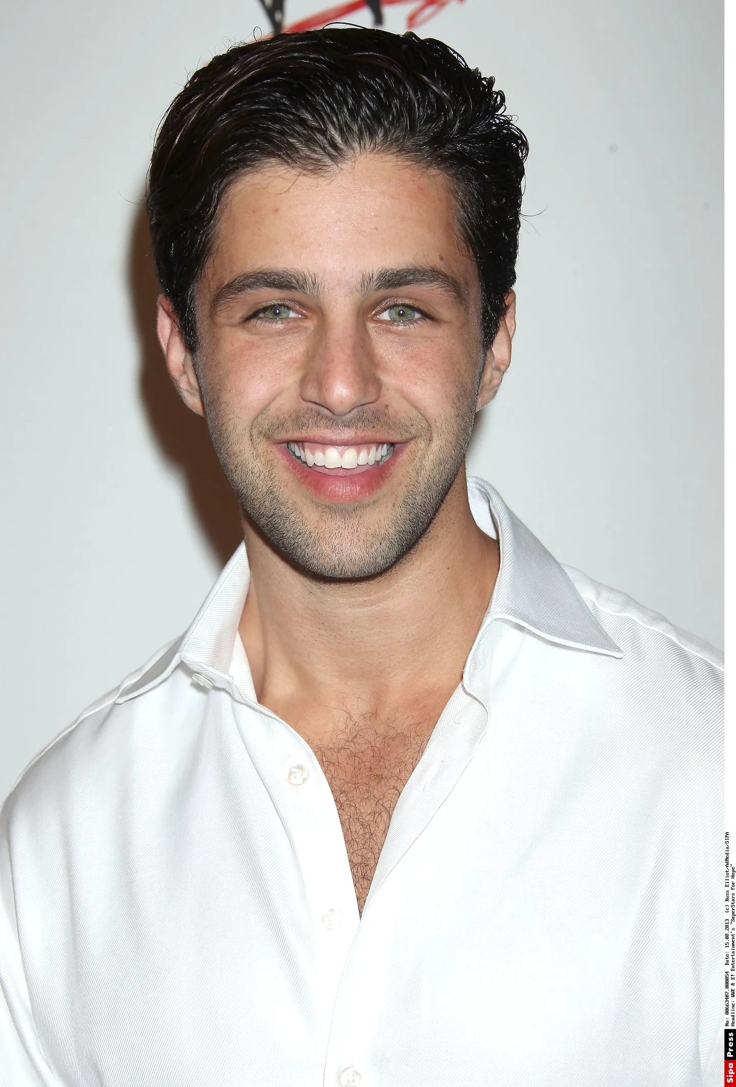 Josh Peck 2013.