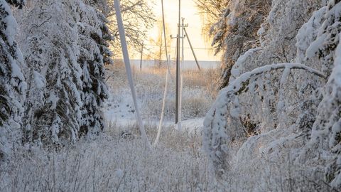 Soome võrgufirma: elektritarbimine on saavutanud selle talve haripunkti