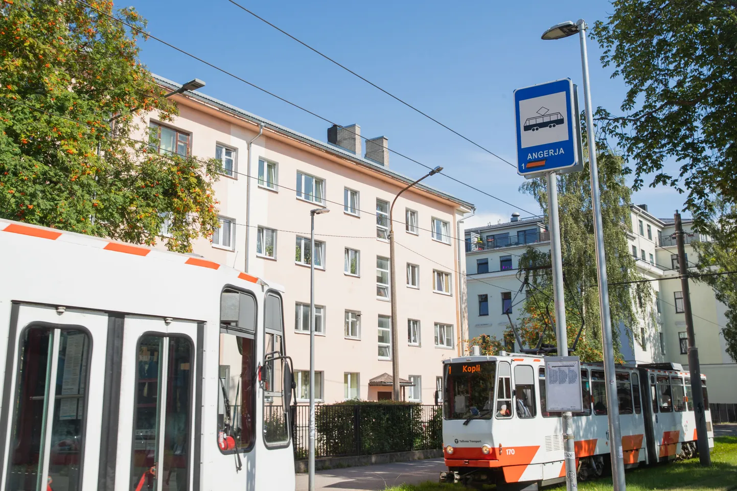 Tallinna trammid.