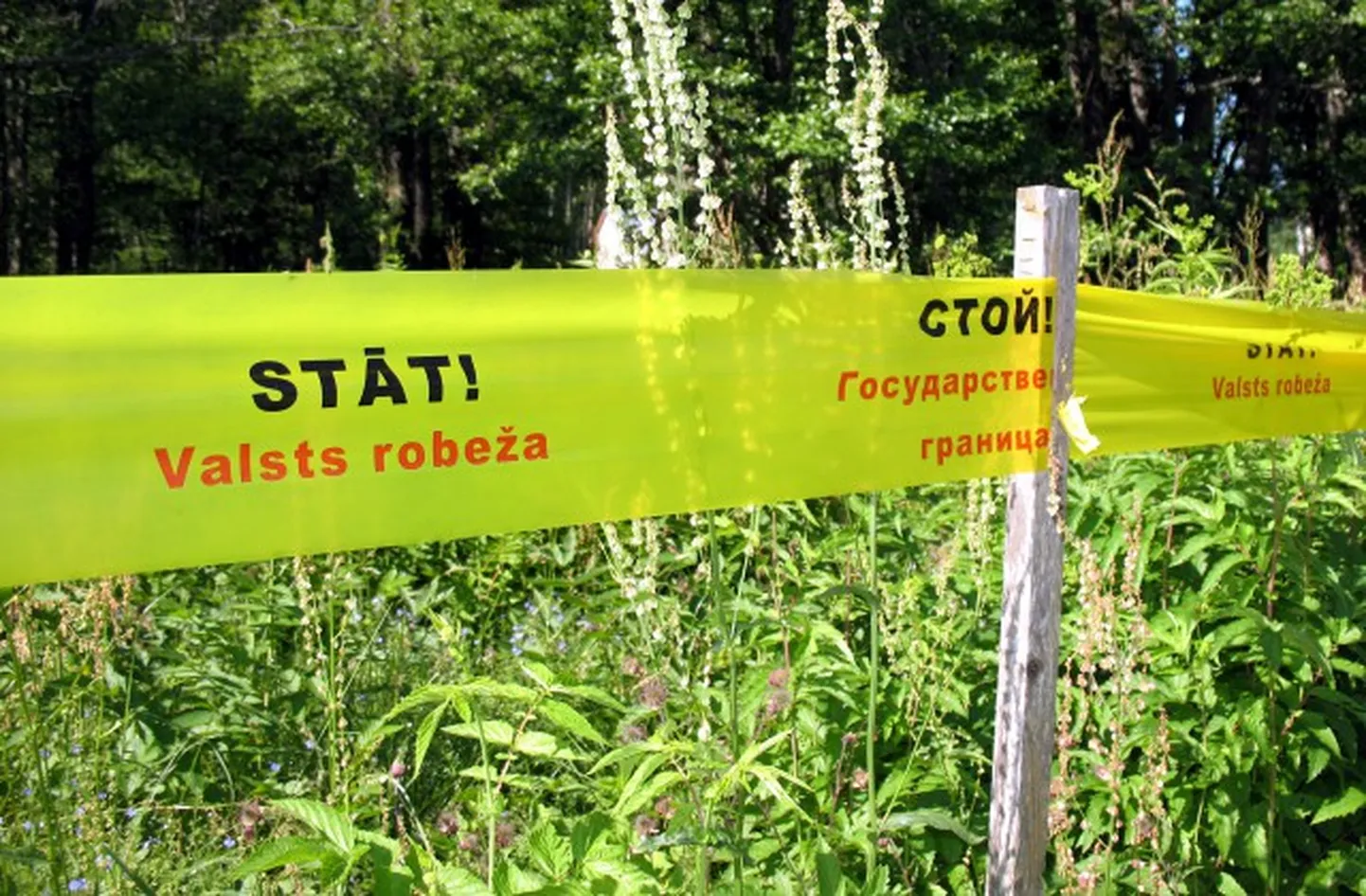 Фото статьи
