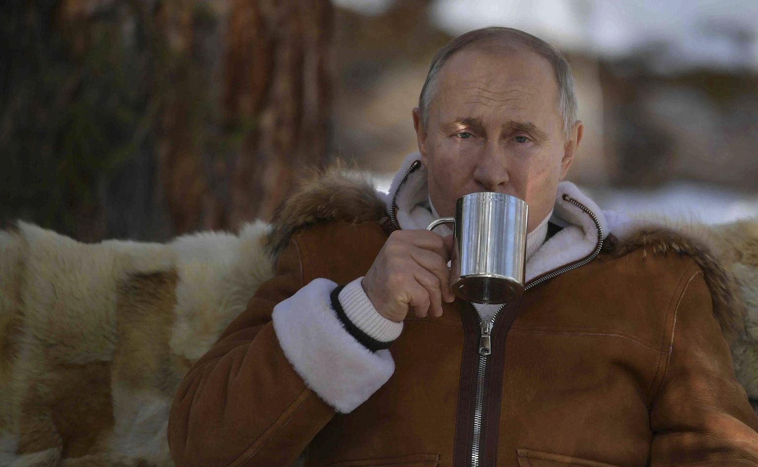 WSJ kolumnisti Walter Russell Meadi hinnangul on Venemaa president praegu Ukraina asjus omadega mäel. Pildil Putin tassikese teega Tõva taigas puhkehetkel.