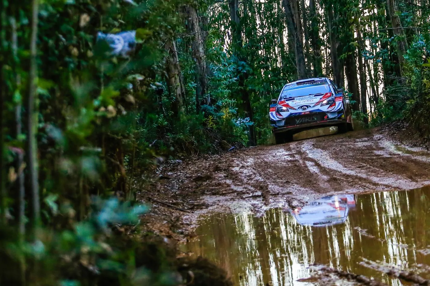Ott Tänak ja Martin Järveoja Tšiili rallil