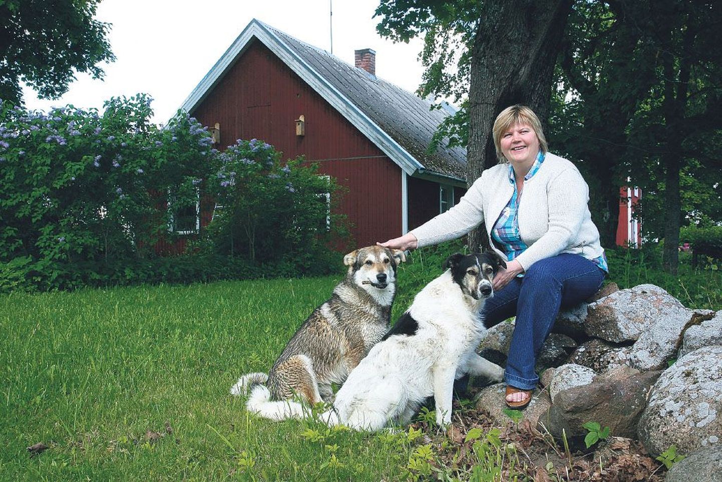 Lindamäe talu perenaisel Laie-Helje Liivil kulus kuus aastat, enne kui ta söandas alustada tööd hingamisterapeudina.
