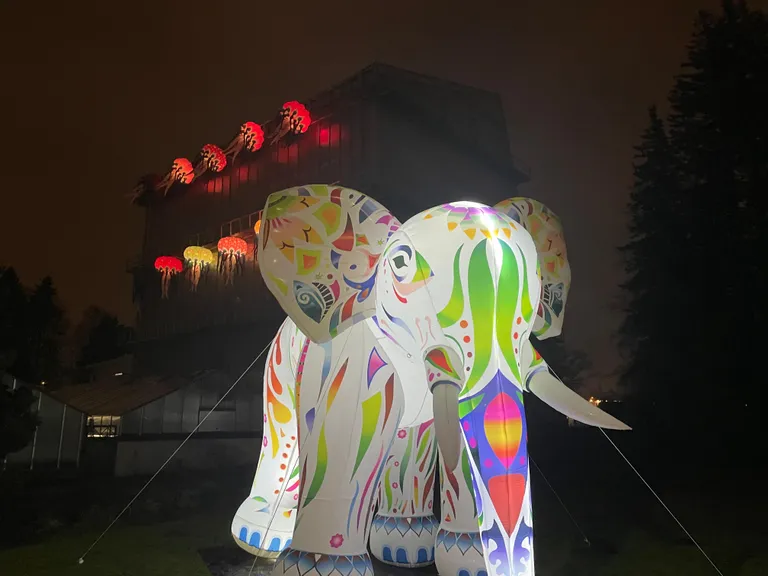 Raksta foto