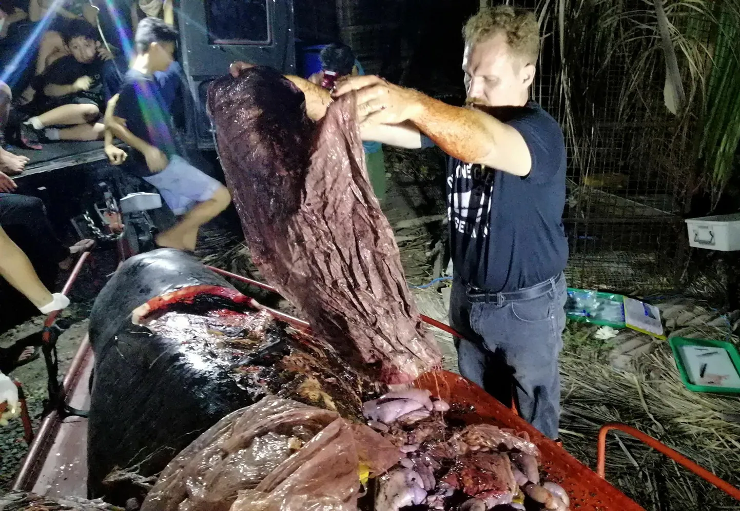 D’Bone Collector Museumi direktor Darrell Blatchley näitab plastijäätmeid, mis leiti Cuvier' nokkvaala maost Filipiinide lõunaosas Mindanao saare vetest. Nälginud vaal, kelle kõhust leiti 40 kilogrammi plastprügi, suri peagi pärast kaldale uhtumist.