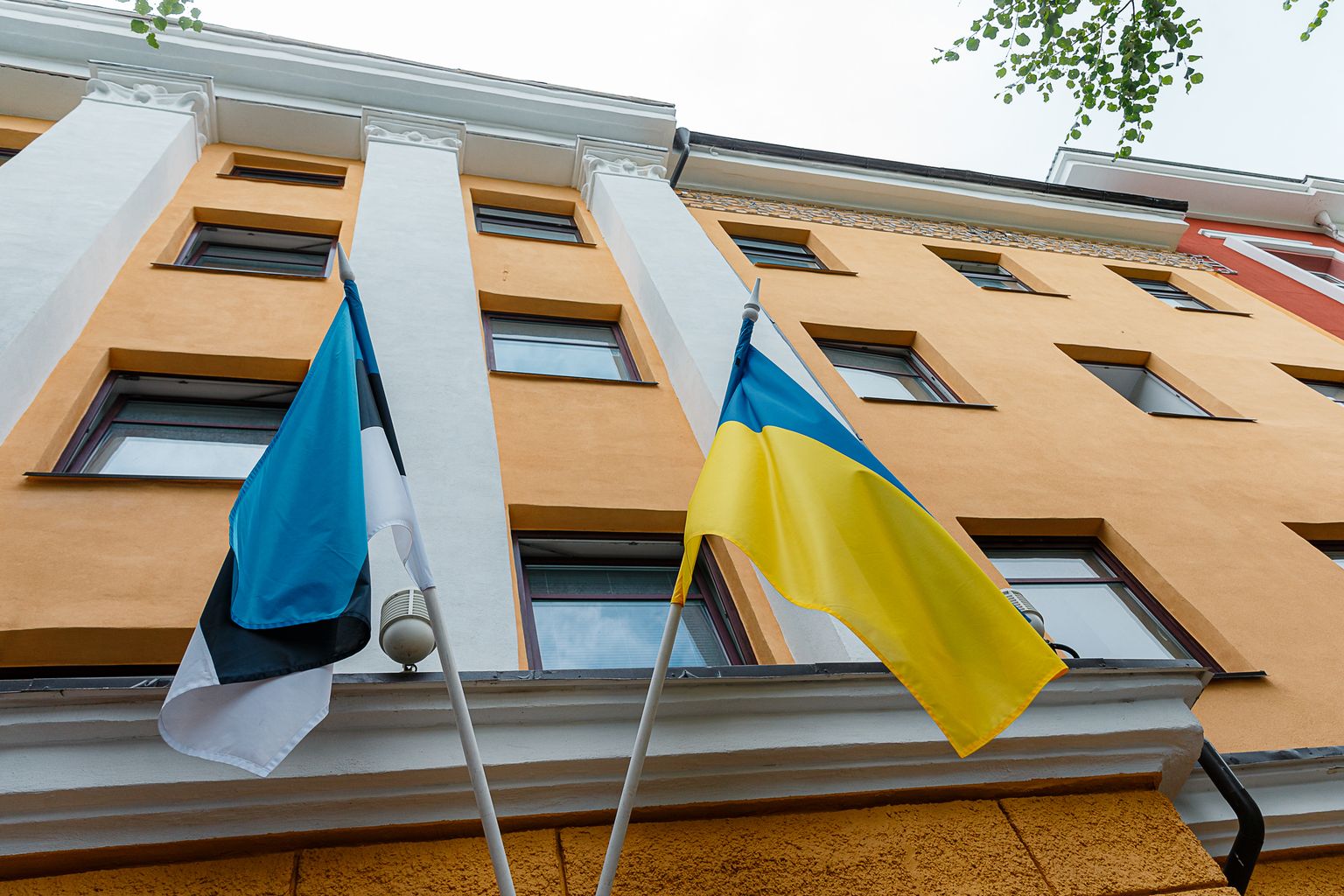 Eesti ja Ukraina lipp Narva linna haldushoonel.