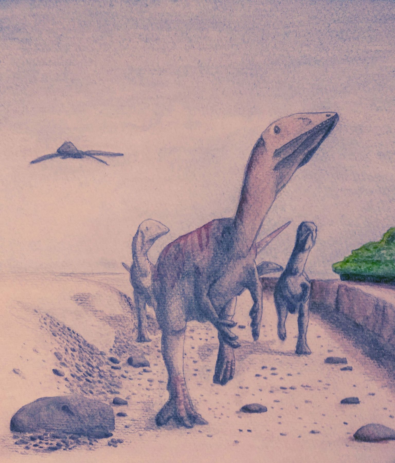 Dracoraptor hanigani elas Euroopas 200 miljonit aastat tagasi