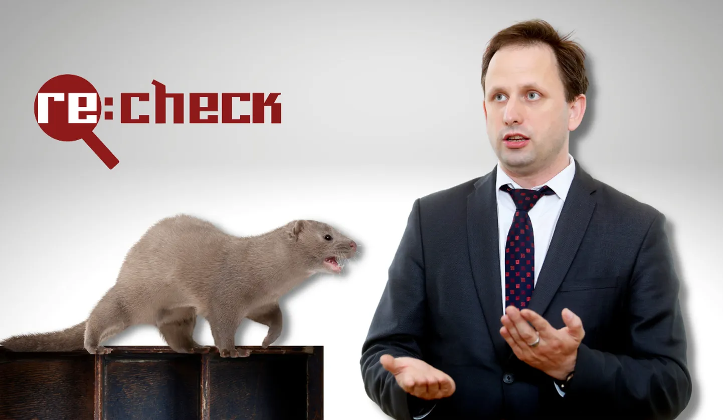 Raksta foto