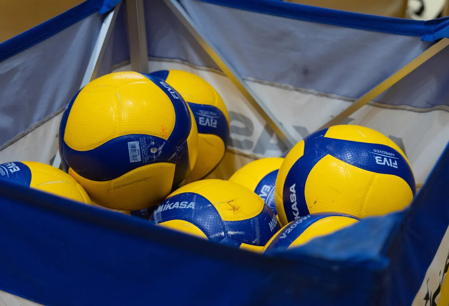 Nädalavahetusel selguvad Jüri Spordihoones U20 vanuseklassi Eesti meistrid nii neidude kui noormeeste arvestuses.