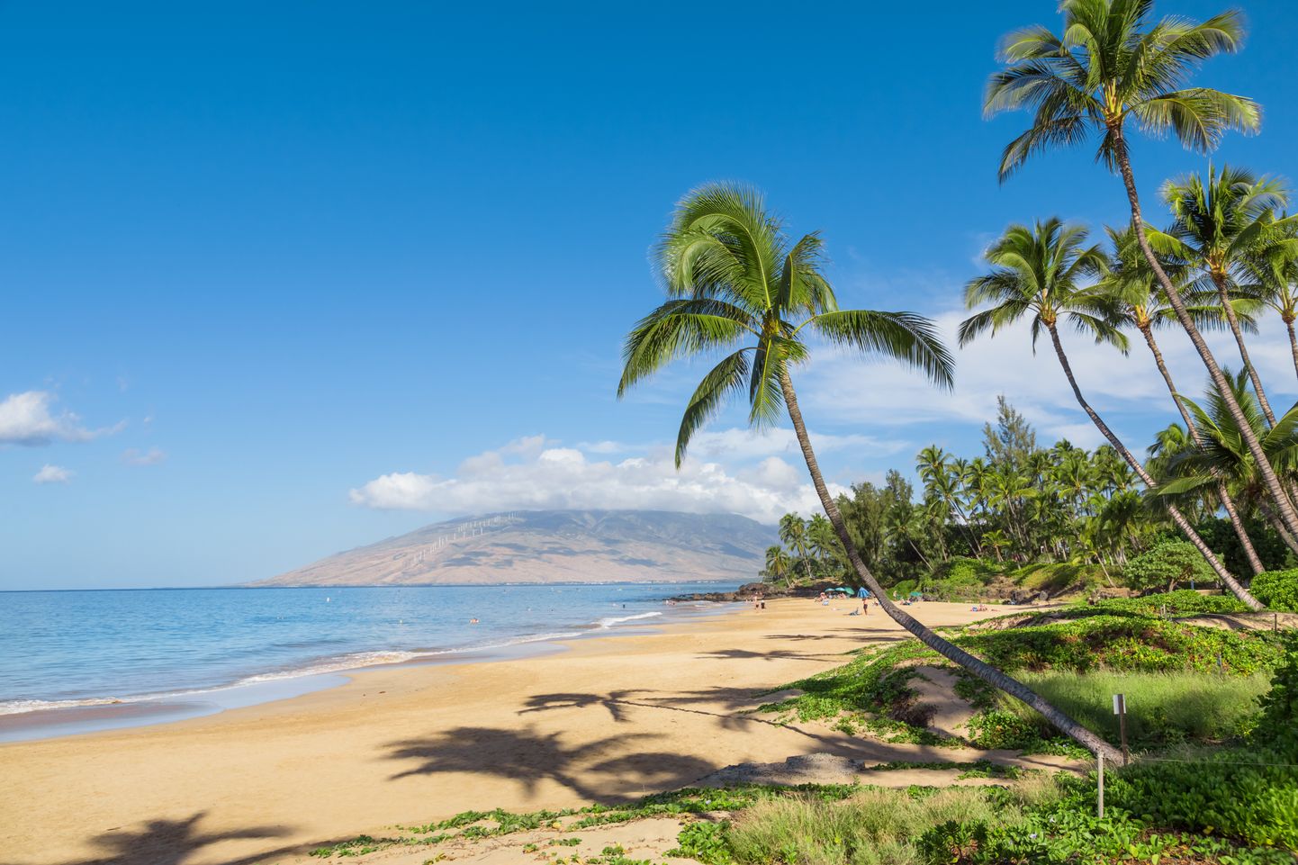 Hawaii rand