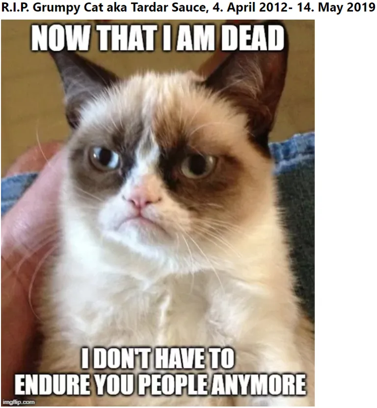 Grumpy Cat hüvastijätu meme