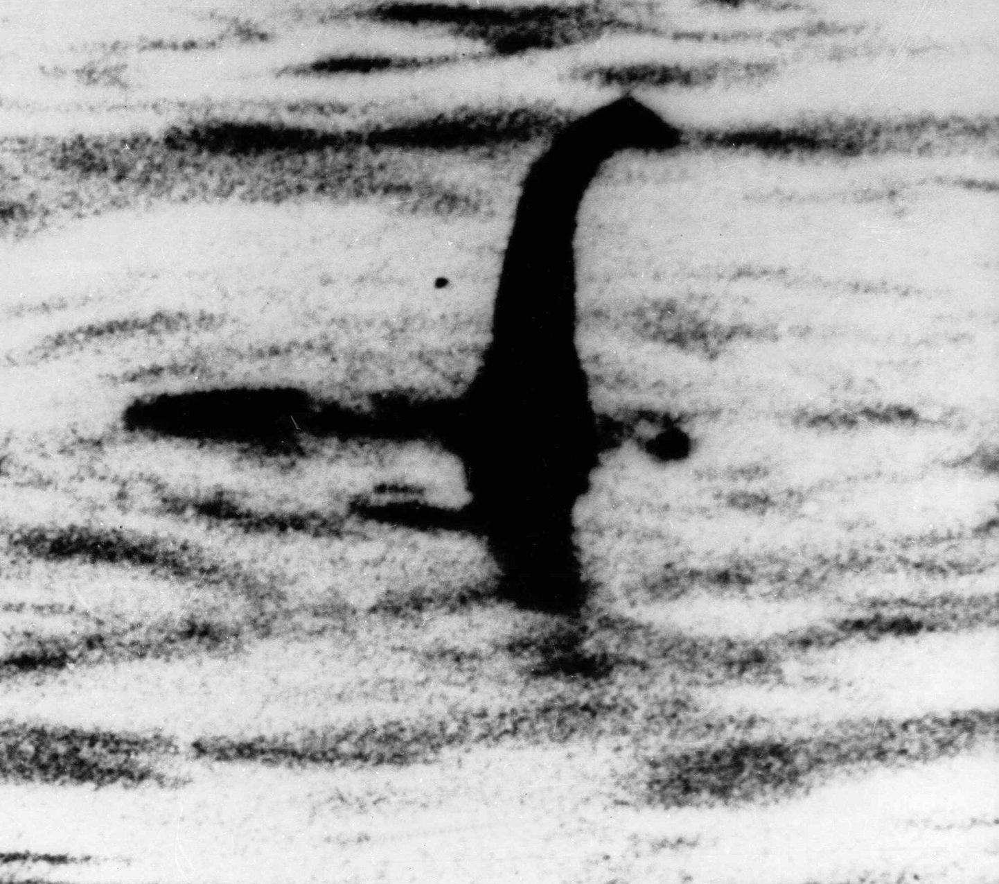 Foto, millel on väidetavalt Loch Nessi koletis
