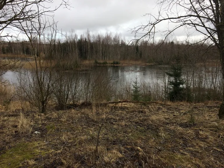 Rõõsa tehisjärv